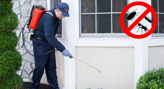 Güzelyalı Bit İlaçlama böcek ilaçlama ve haşere kontrolü — ilaclama-tr.com